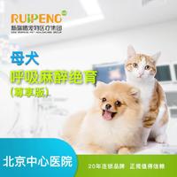 【北京中心医院直播专享】【尊享】母犬呼吸麻醉绝育套餐 狗狗